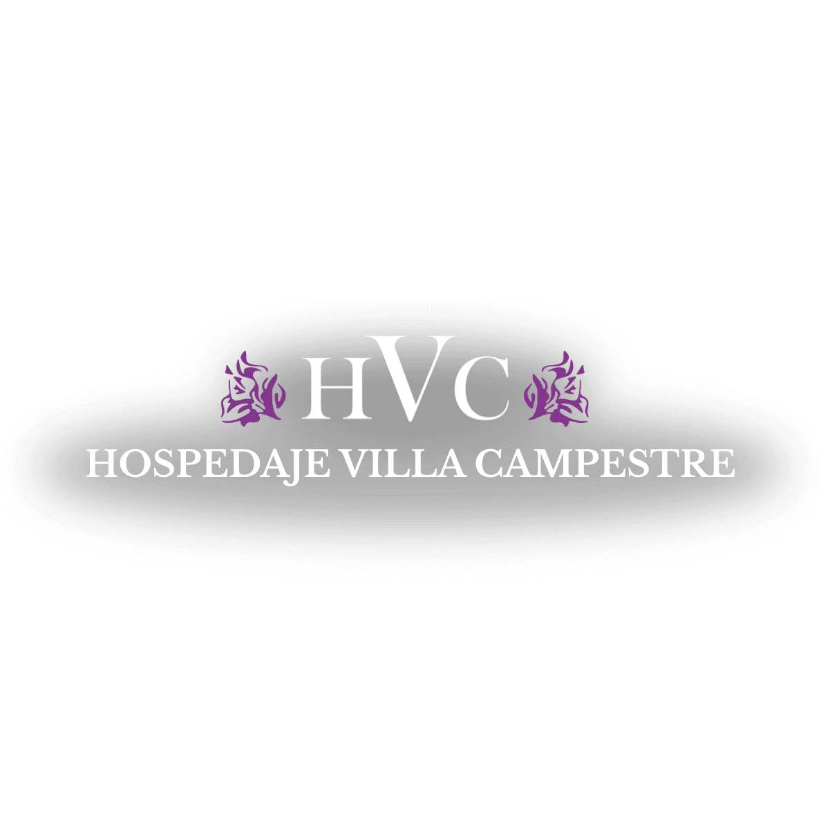 Hospedaje Villa Campestre